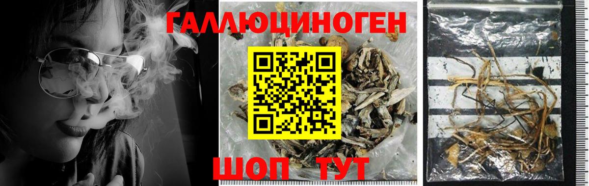 Галлюциногенные грибы мухоморы  Вход с VPN  Псилоцибиновые грибы MAGIC MUSHROOMS  Губкинский 